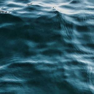 Meet your Posher, Martha